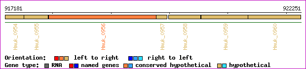 gene map