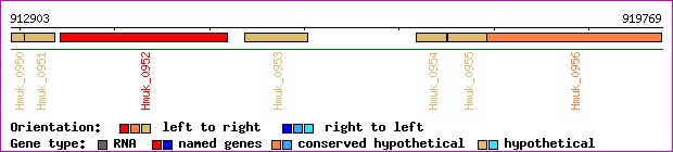 gene map