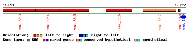 gene map