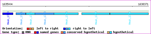 gene map