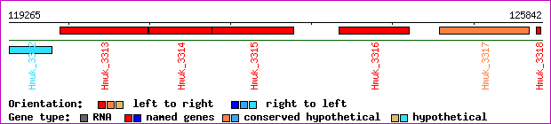 gene map