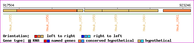 gene map