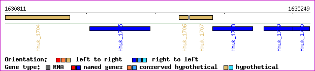 gene map
