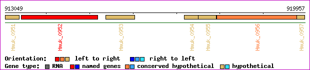 gene map