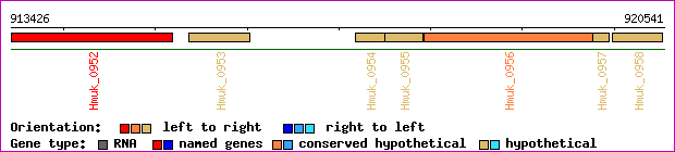 gene map