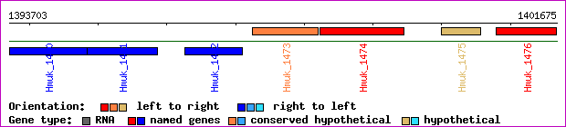 gene map