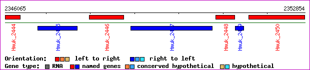 gene map