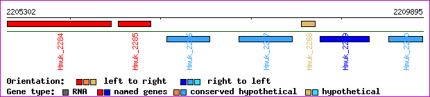 gene map