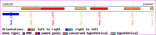 gene map