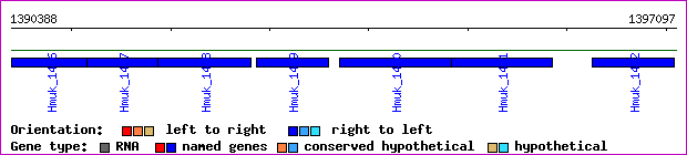 gene map