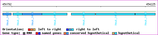 gene map