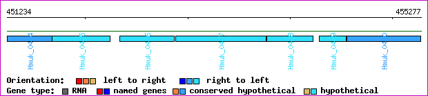 gene map
