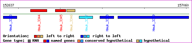 gene map