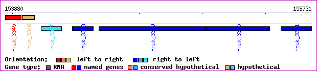 gene map