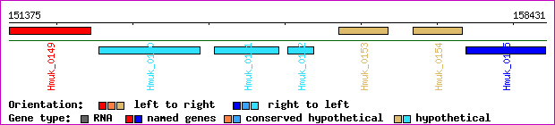 gene map