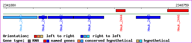 gene map