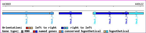gene map