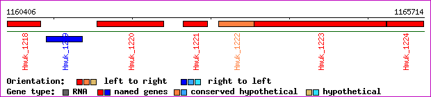 gene map
