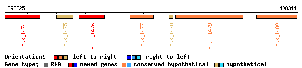 gene map