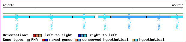 gene map