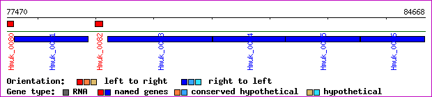 gene map