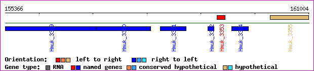 gene map