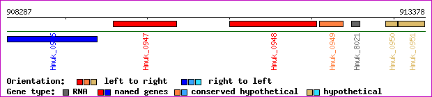 gene map