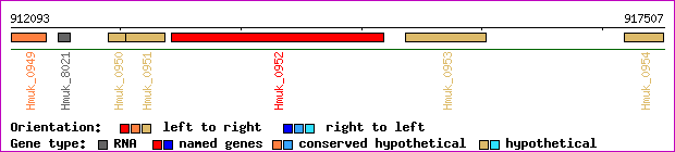 gene map
