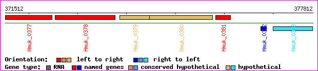 gene map