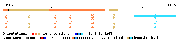 gene map