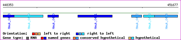 gene map