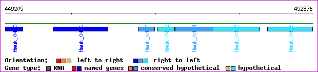 gene map