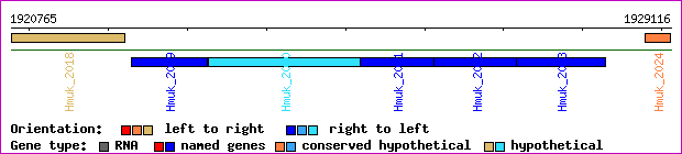 gene map