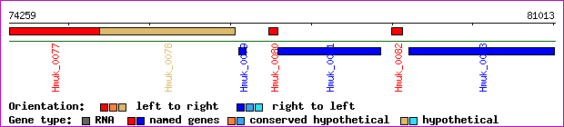 gene map