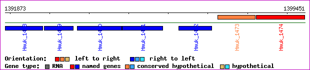 gene map