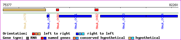 gene map