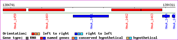 gene map