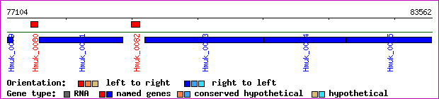 gene map