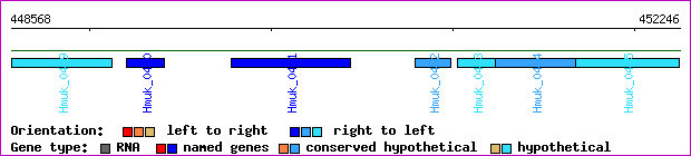 gene map