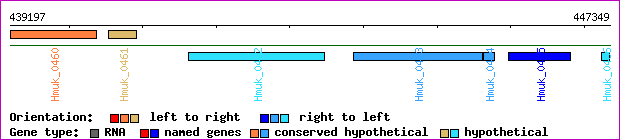 gene map