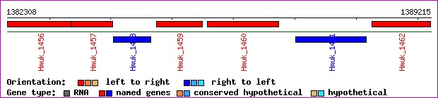 gene map