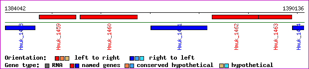 gene map