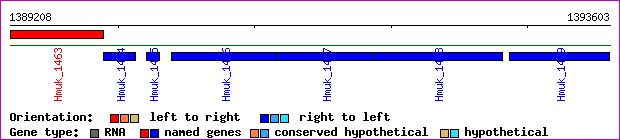 gene map