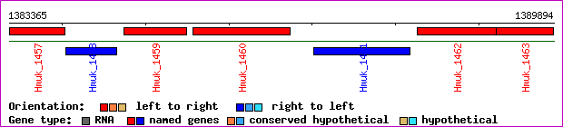 gene map