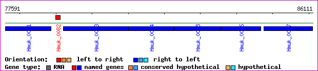 gene map