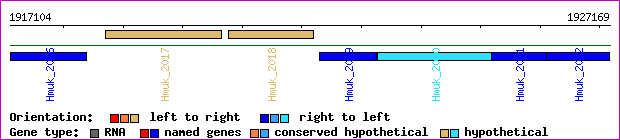 gene map