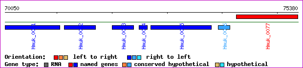 gene map