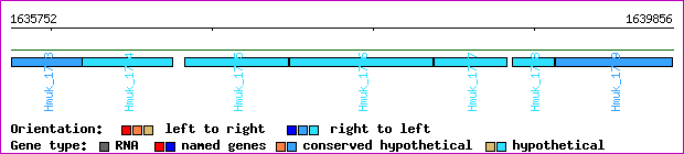 gene map