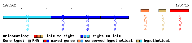 gene map