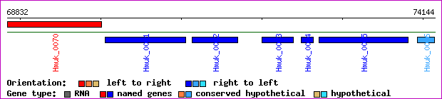 gene map
